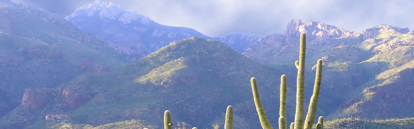 Tucson Packaging Experts